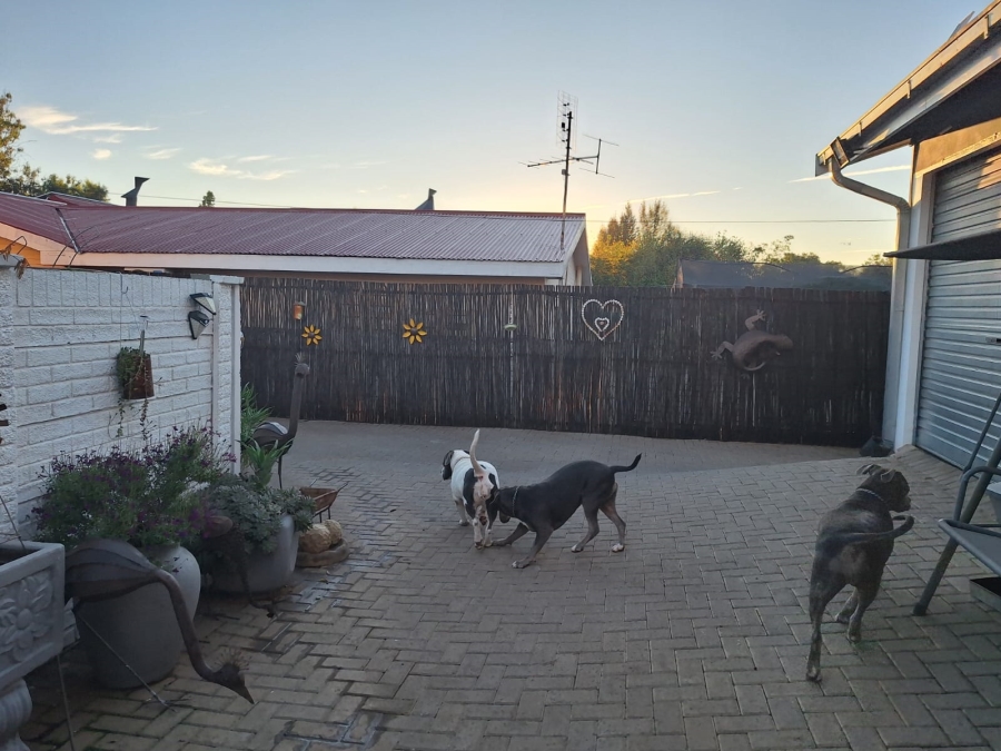 To Let 3 Bedroom Property for Rent in Fichardt Park Free State